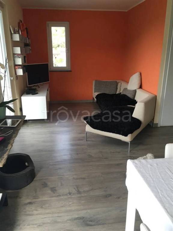 immagine annuncio 10 di 14