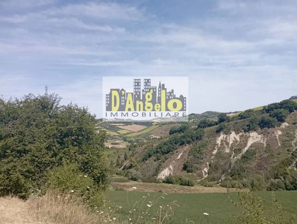 immagine annuncio 6 di 9