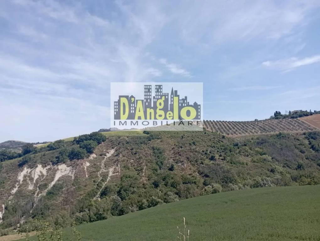 immagine annuncio 8 di 9