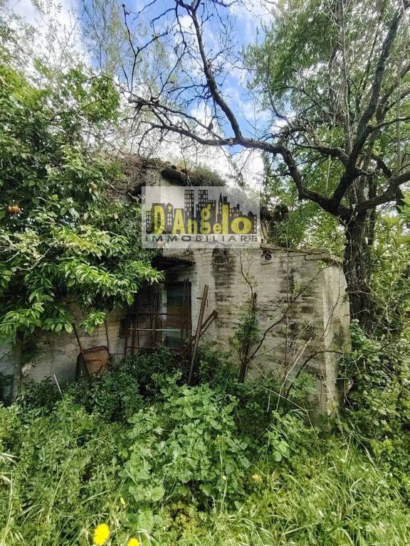 immagine annuncio 1 di 11