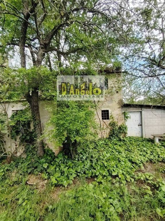 immagine annuncio 2 di 11