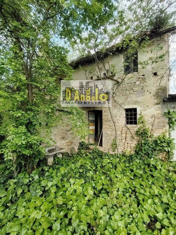 immagine annuncio 5 di 11