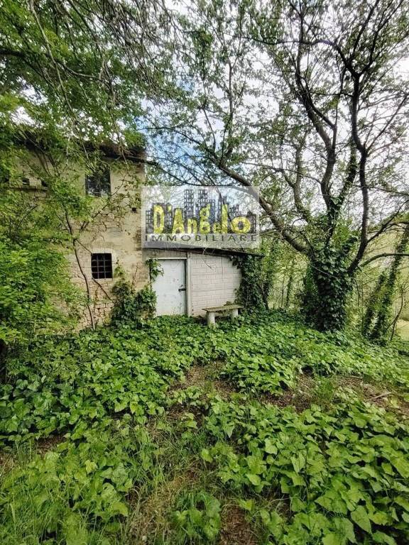 immagine annuncio 7 di 11