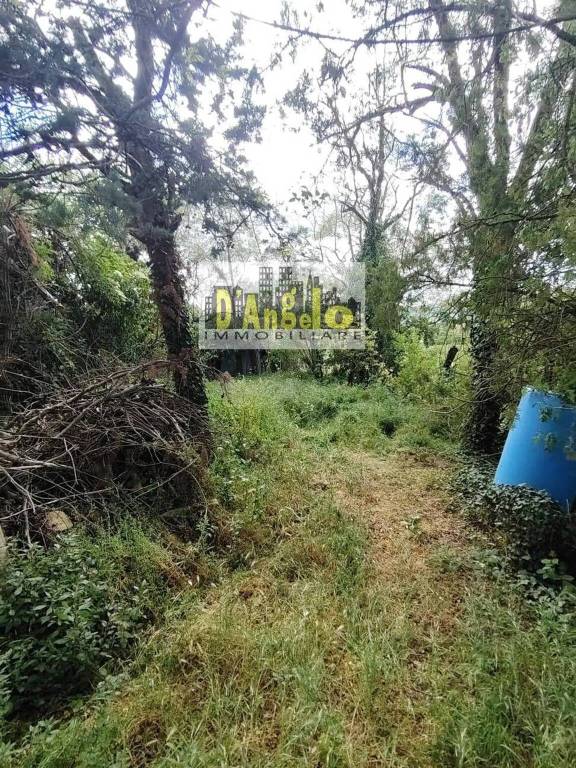 immagine annuncio 9 di 11