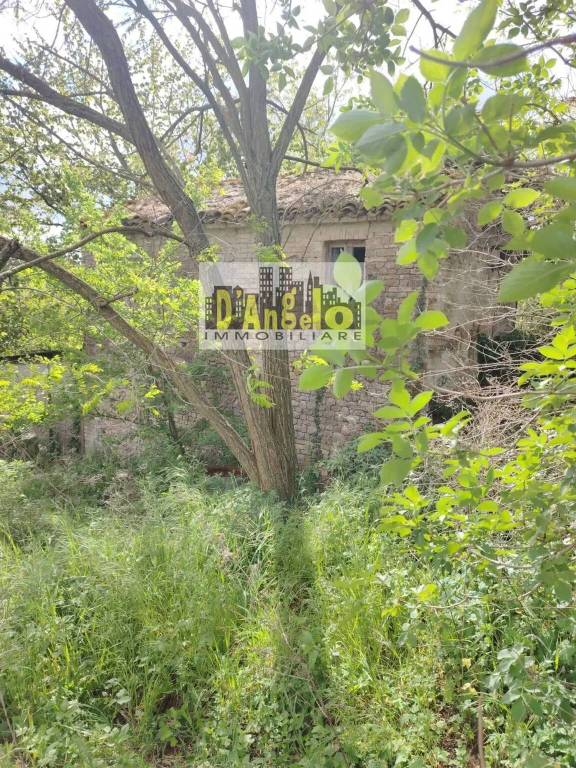 immagine annuncio 10 di 11