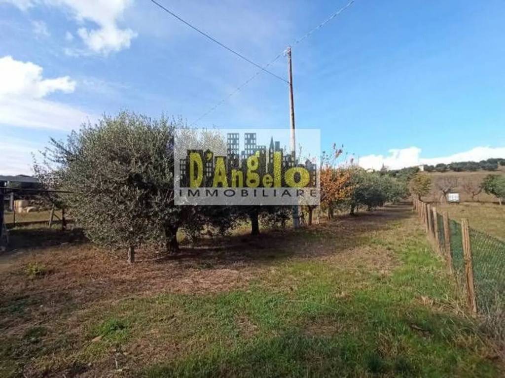 immagine annuncio 6 di 7