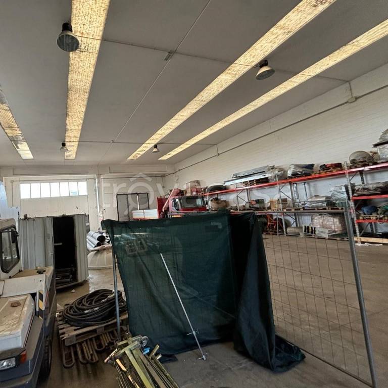 immagine annuncio 2 di 10