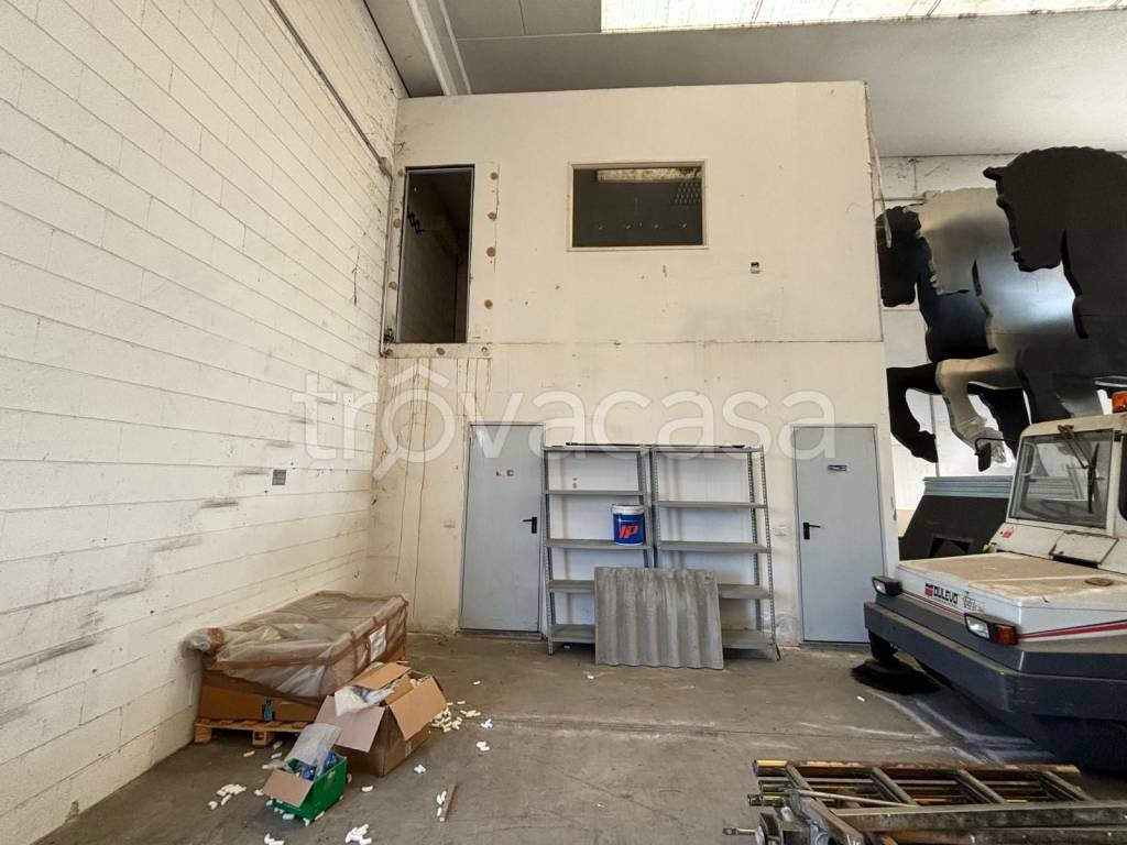 immagine annuncio 9 di 10