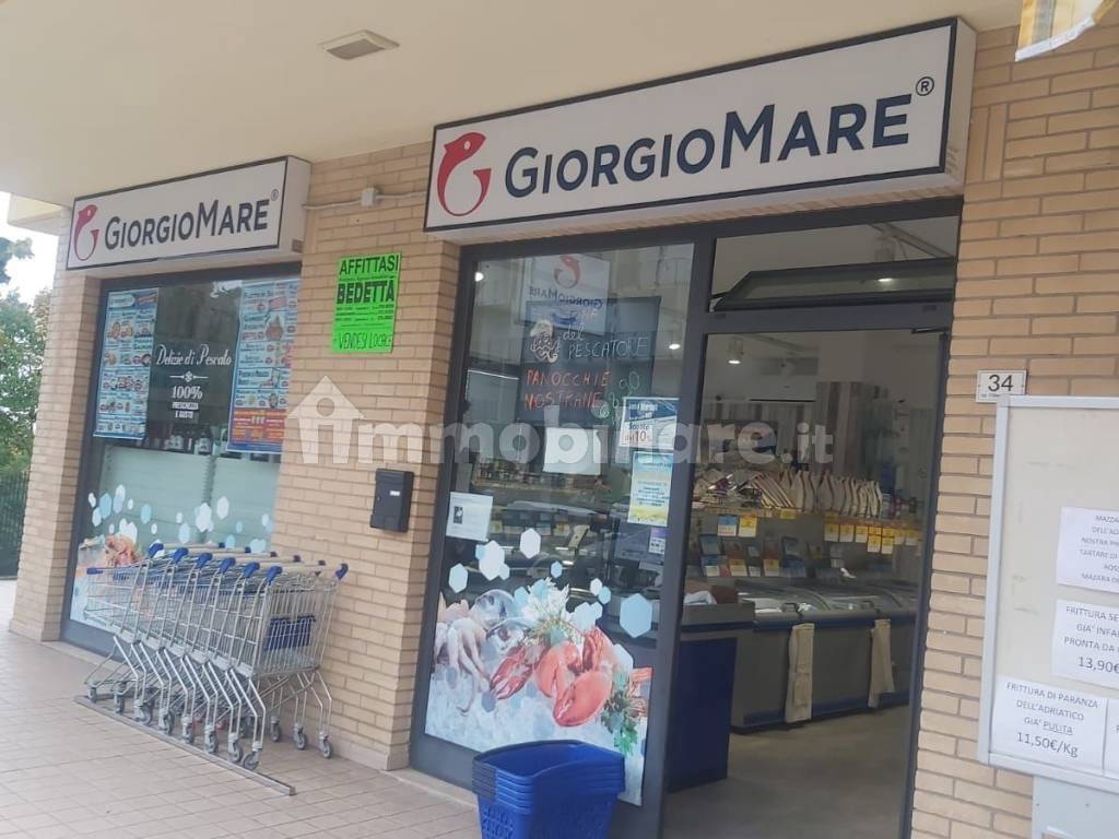 immagine annuncio 6 di 14