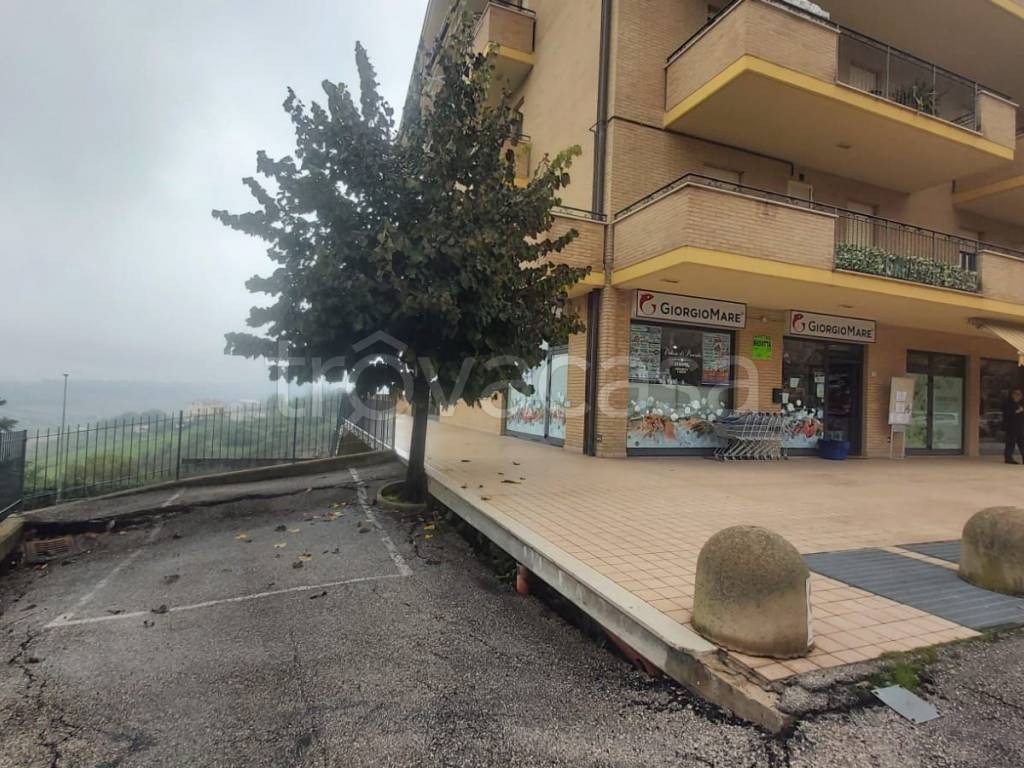 immagine annuncio 7 di 14