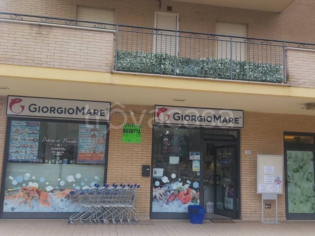 immagine annuncio 8 di 14
