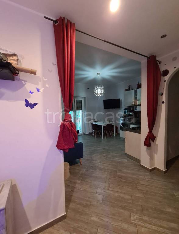 immagine annuncio 2 di 14