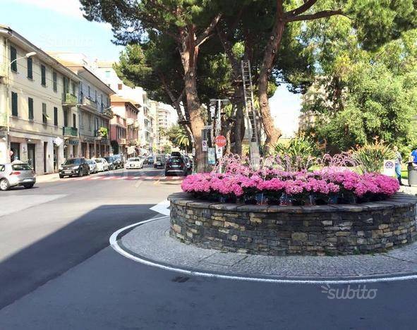 immagine annuncio 1 di 12