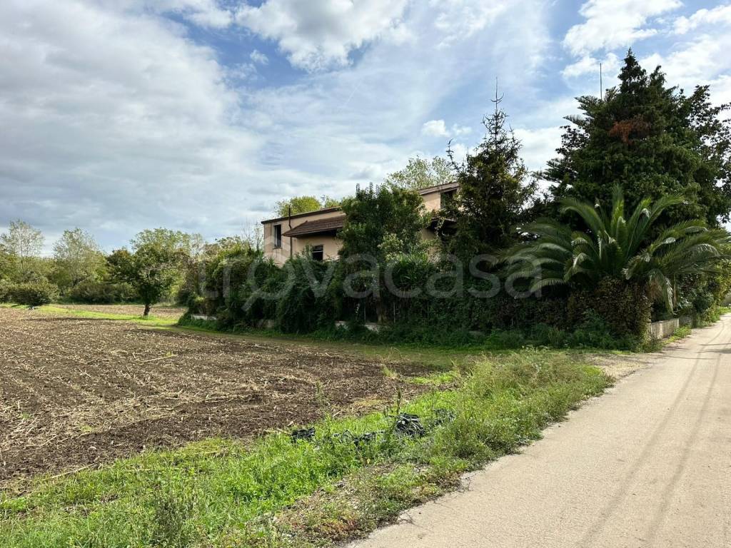 immagine annuncio 9 di 11