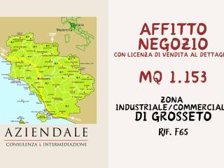 Negozio in affitto a grosseto 