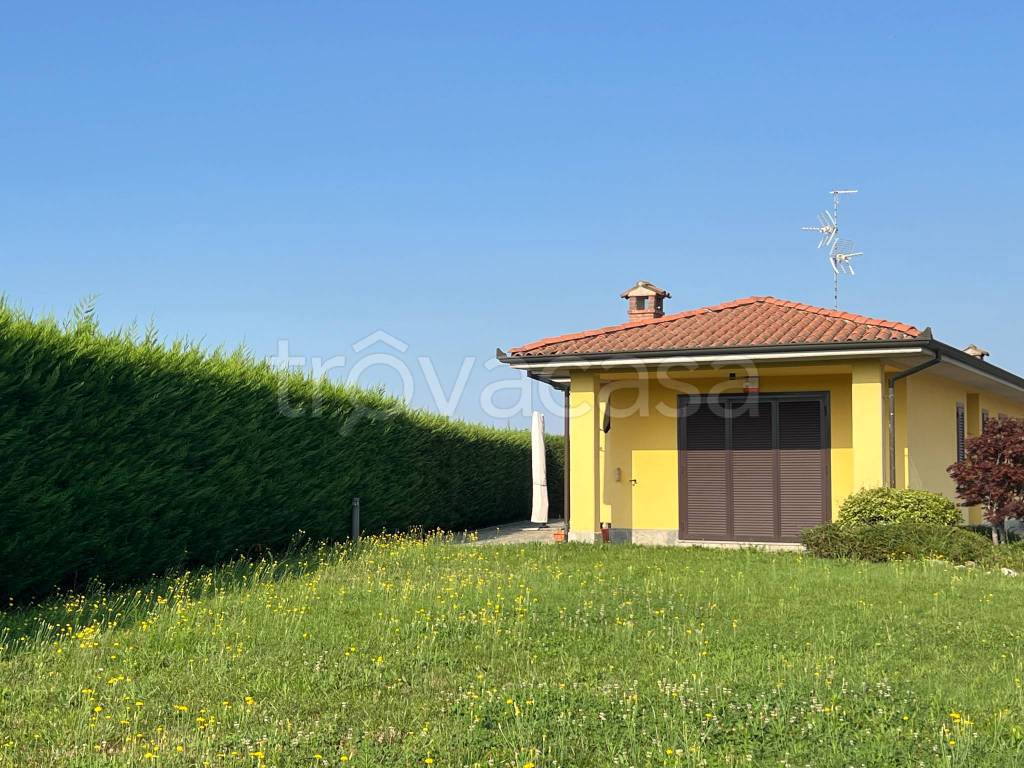immagine annuncio 5 di 15