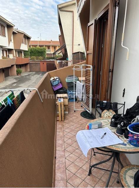 immagine annuncio 5 di 15