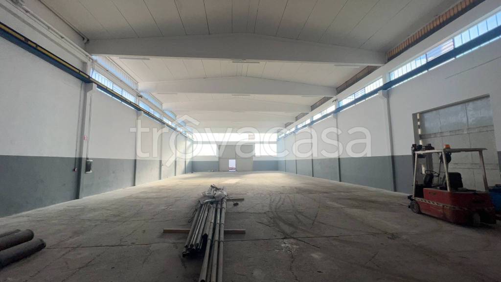 immagine annuncio 2 di 11