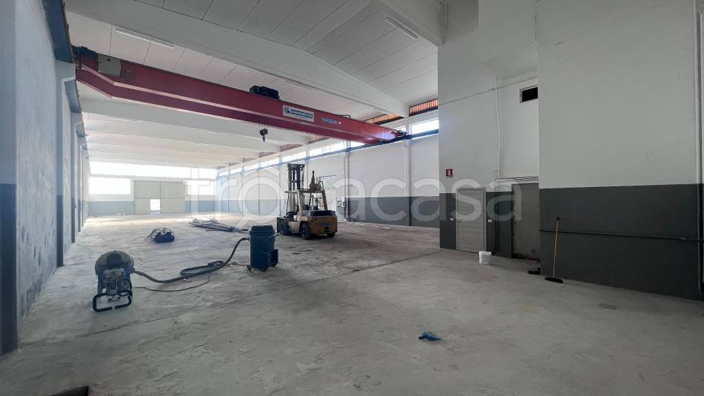 immagine annuncio 3 di 11