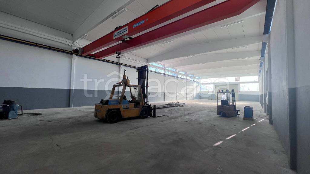 immagine annuncio 4 di 11