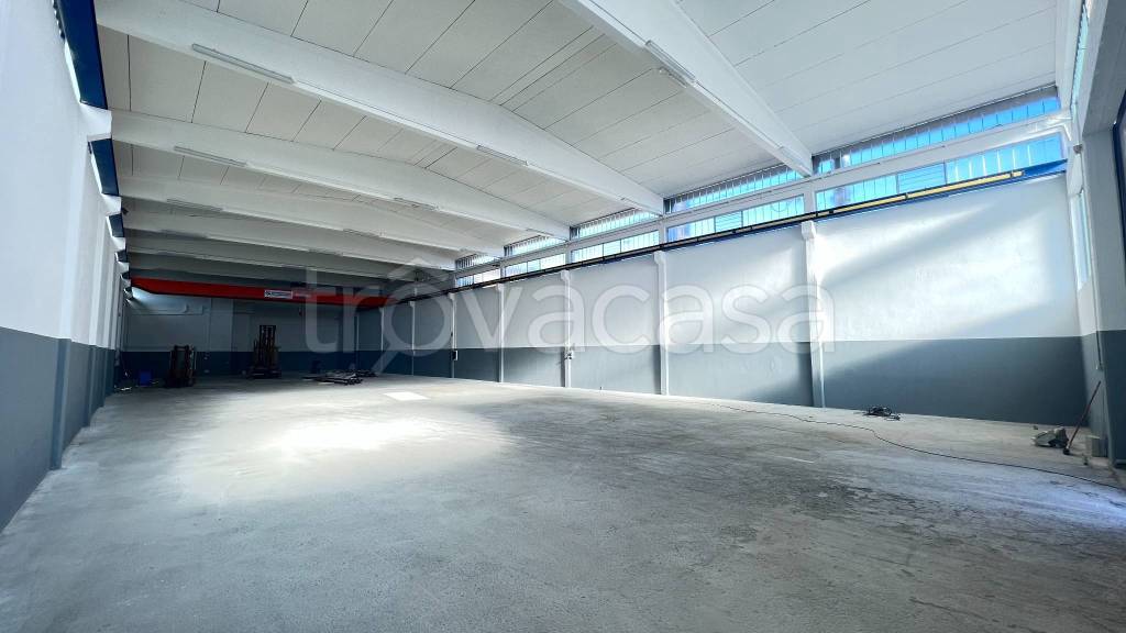 immagine annuncio 1 di 11