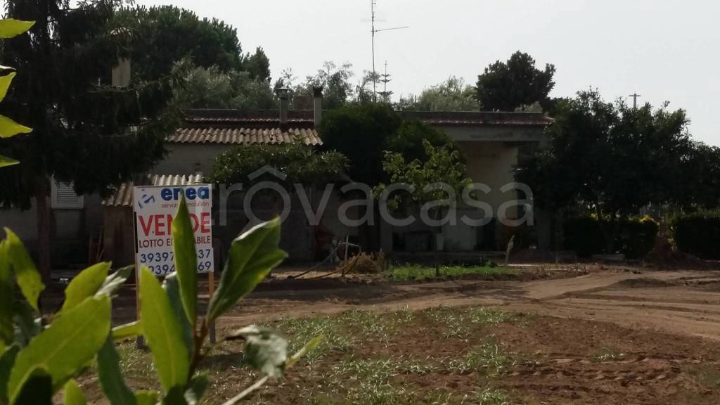 immagine annuncio 3 di 6