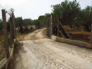 Terreno agricolo in vendita a sciacca contrada bordea s.n.c.