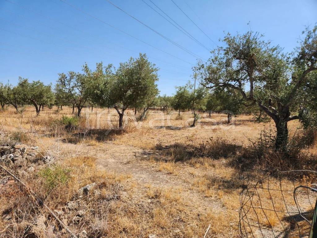 immagine annuncio 2 di 7