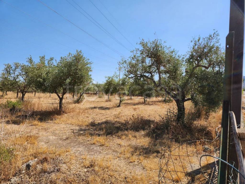 immagine annuncio 3 di 7