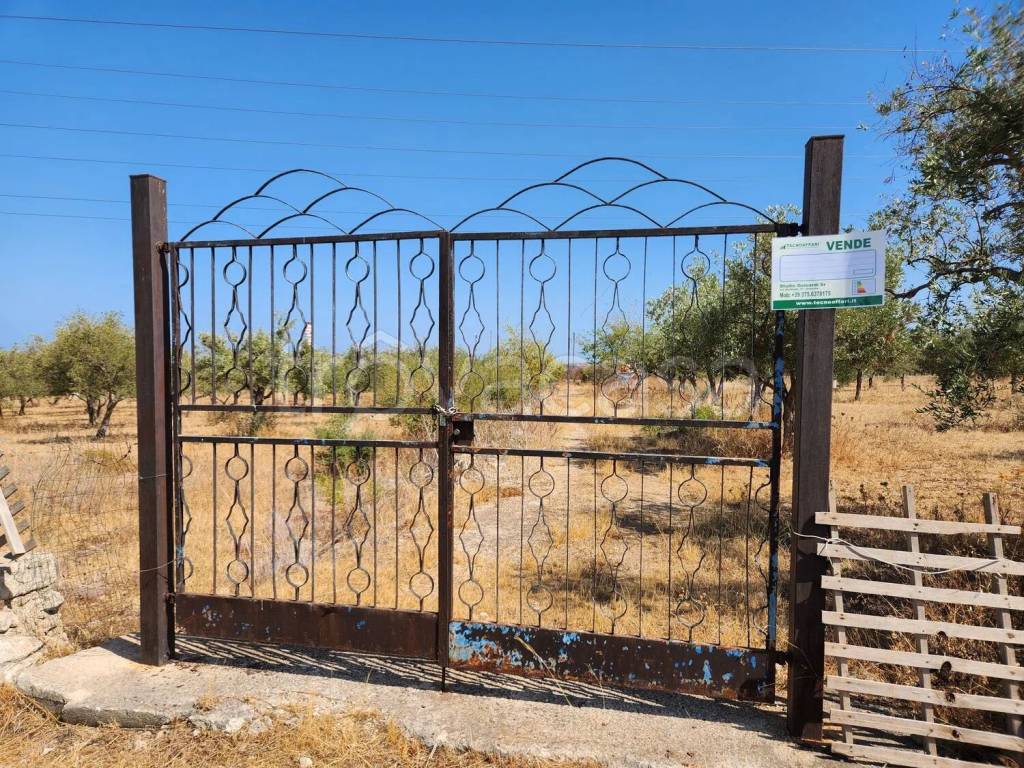 immagine annuncio 4 di 7