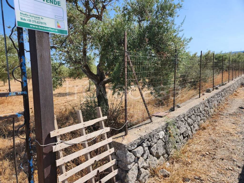 immagine annuncio 6 di 7