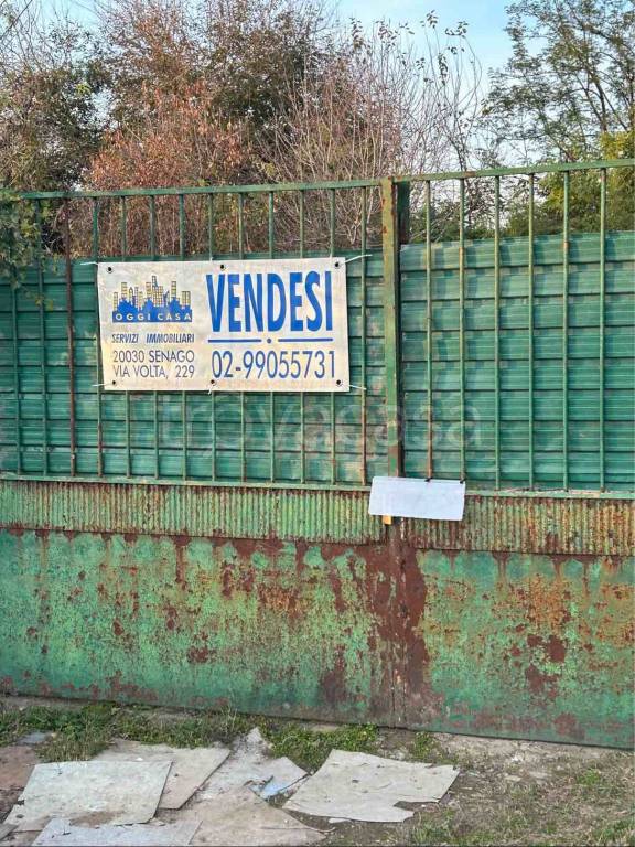 immagine annuncio 3 di 12