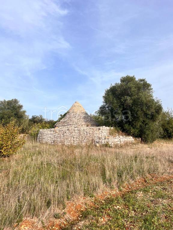 immagine annuncio 3 di 11