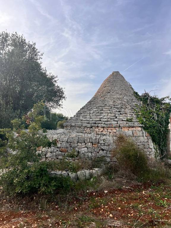 immagine annuncio 5 di 11