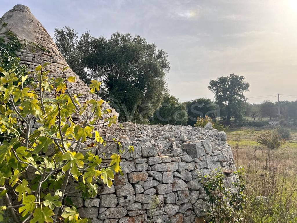 immagine annuncio 8 di 11