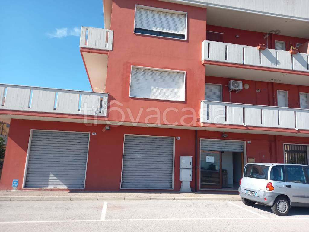 immagine annuncio 1 di 4