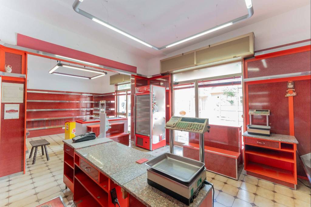 immagine annuncio 12 di 15