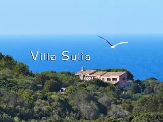 Villa in in affitto da privato a carloforte località calalunga