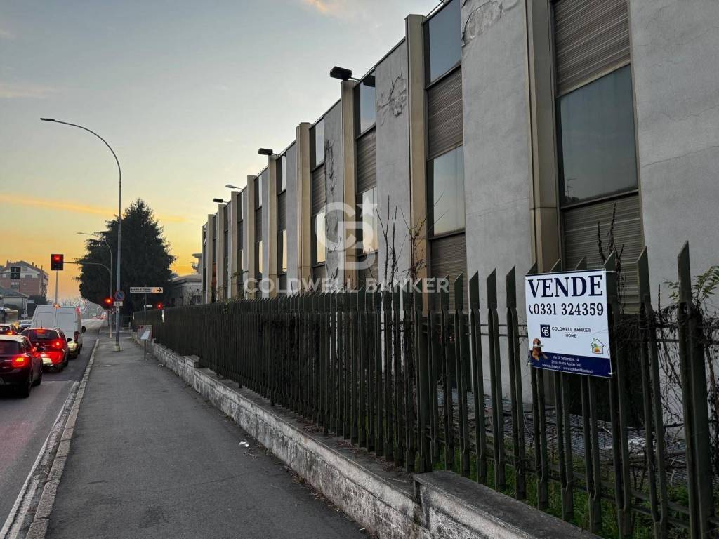 immagine annuncio 5 di 11