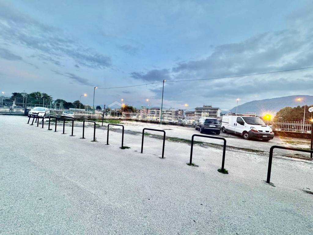 immagine annuncio 2 di 12