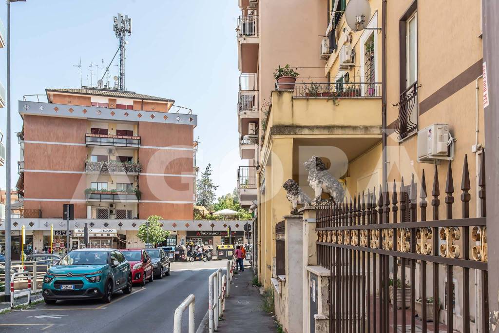 immagine annuncio 5 di 6