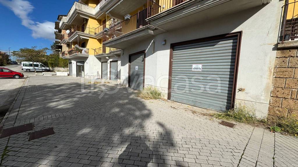immagine annuncio 10 di 11