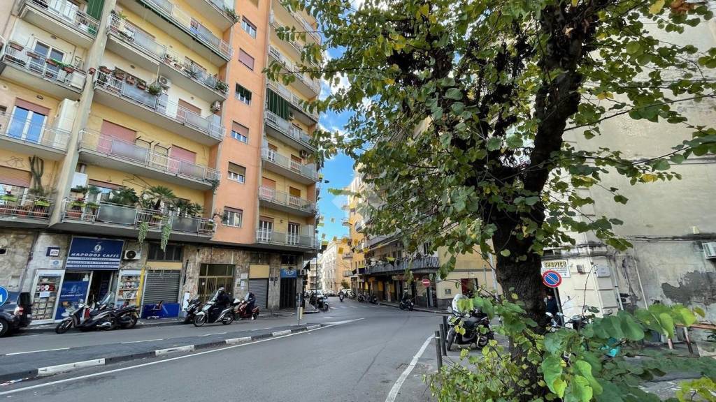immagine annuncio 5 di 6
