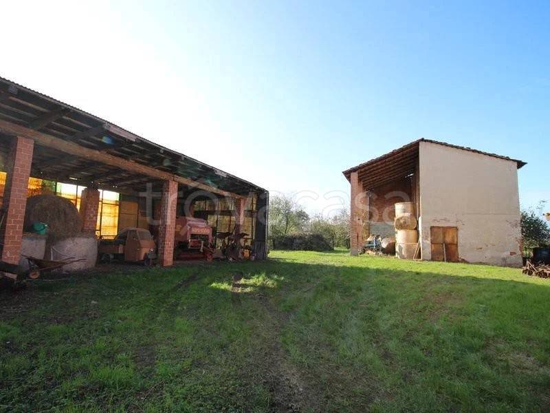 immagine annuncio 5 di 11