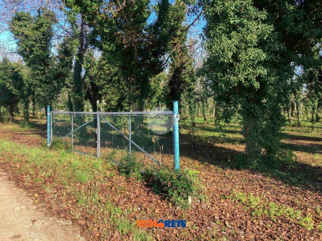 immagine annuncio 9 di 14