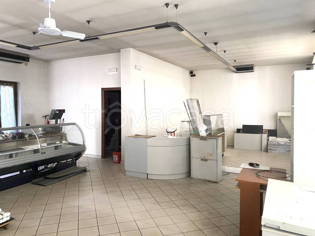 immagine annuncio 9 di 14