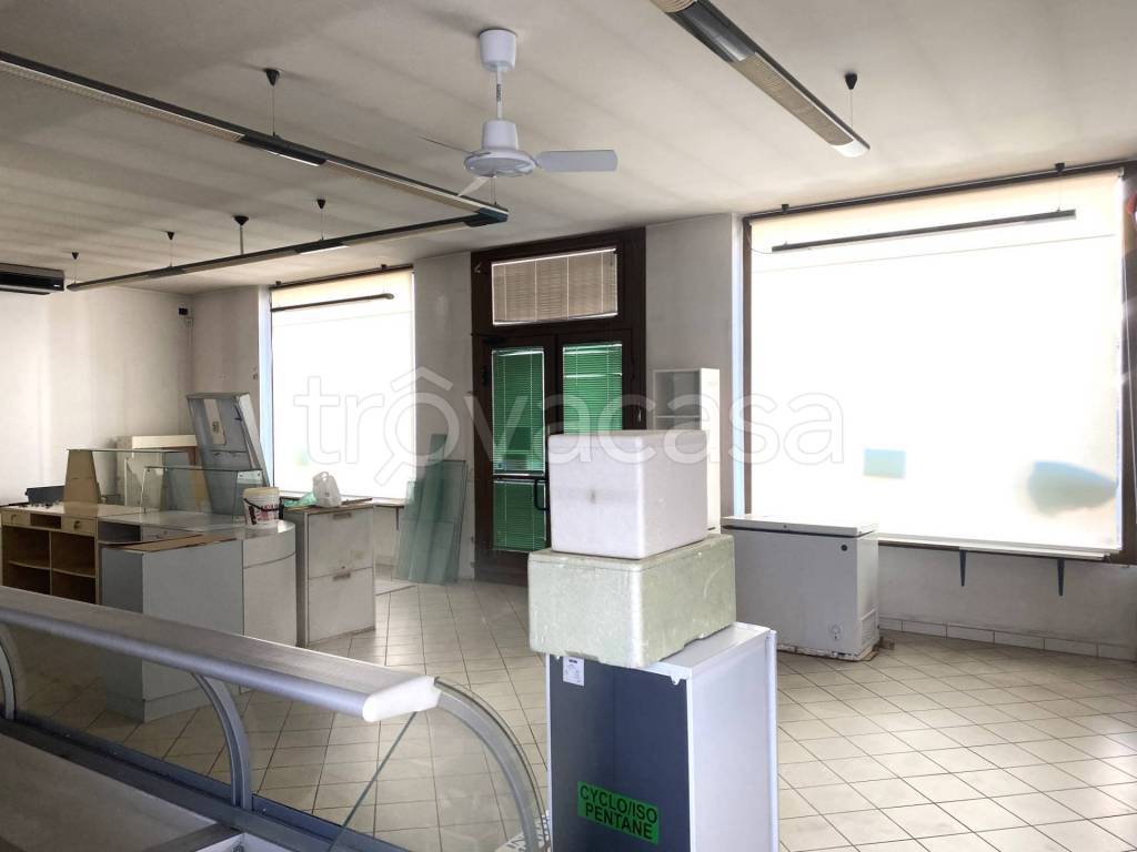 immagine annuncio 10 di 14