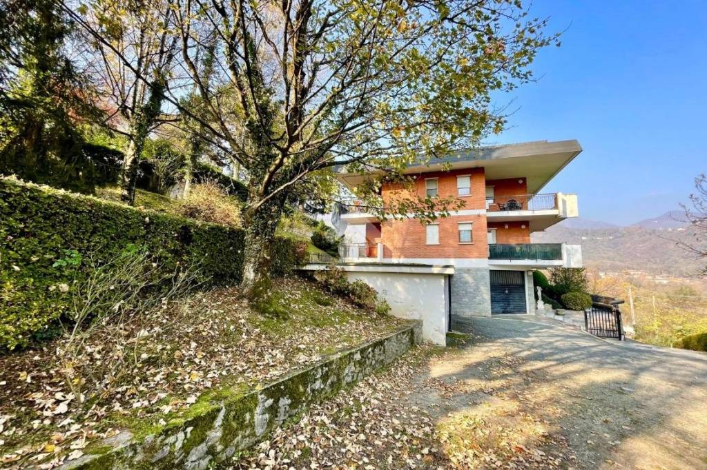 immagine annuncio 12 di 14