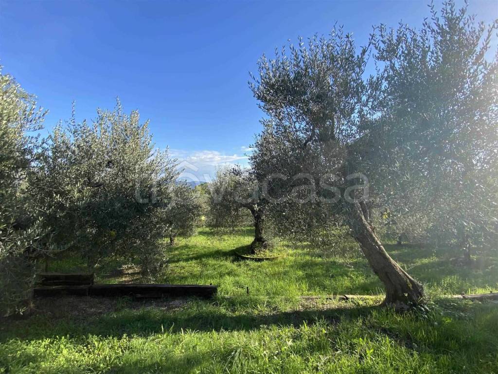 immagine annuncio 2 di 11