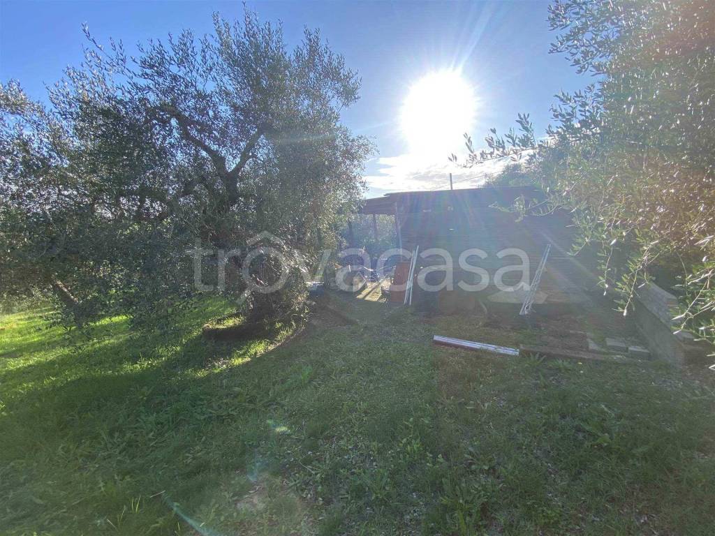 immagine annuncio 3 di 11